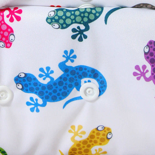 Geckos